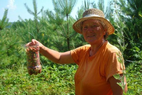 Флюра Низамова: Үземне дөнья актарып гаделлек эзләп йөргән журналистка санамыйм
