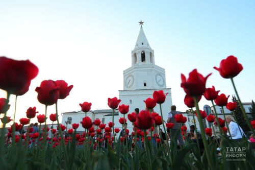 КФУ профессоры май бәйрәмнәрендә Казандагы һава торышы турында сөйләде