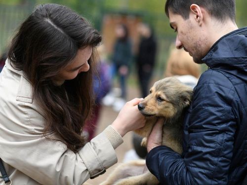 Апрель аенда Казан паркларында яңа гына эт тота башлаучылар өчен дәресләр сериясе үткәреләчәк