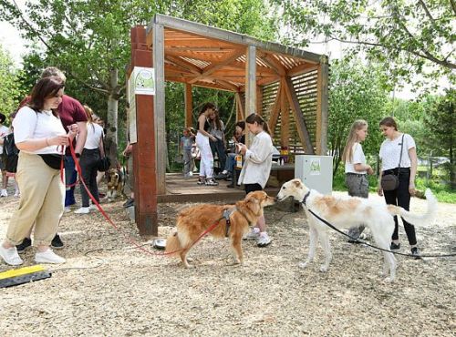 Бу сезонда «Лапа дружбы» йомгаклау акциясе Горки-Әмәт урманында узачак