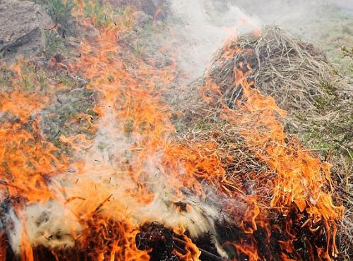 14 апрельдән Татарстанда янгынга каршы режим гамәлгә керәчәк