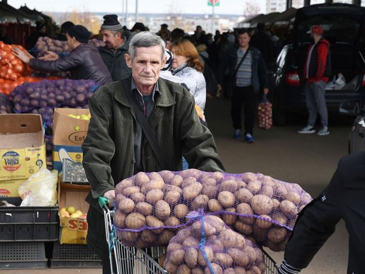 14 нче октябрьдә Казанда традицион авыл хуҗалыгы ярминкәләре узачак