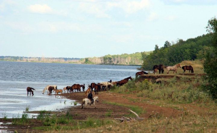 Агыйдел олысы – татар җире